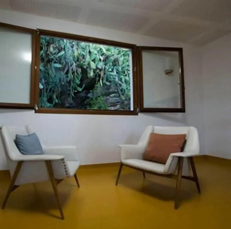AMAZIGH HOSTEL Ensuite Rooms & Dorms with shared Kitchen