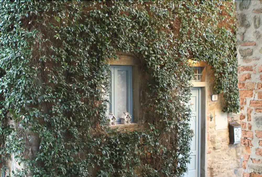 La Casina di Manon