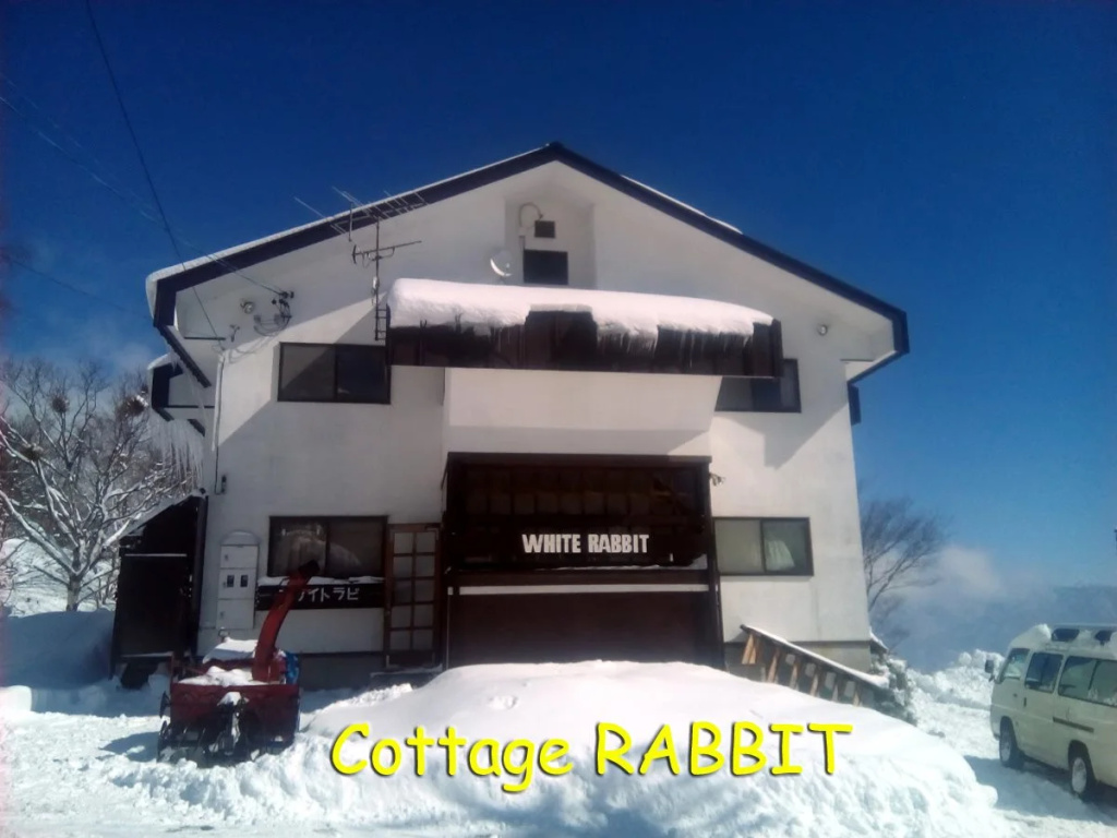 White Rabbit Madarao