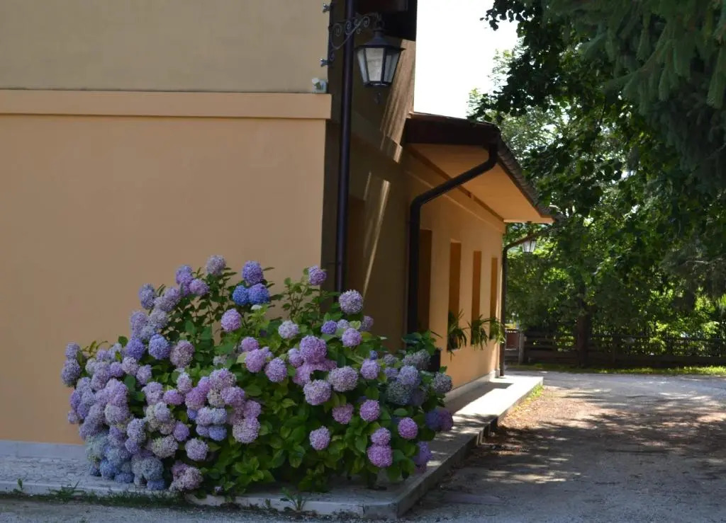 Albergo Da Gildo