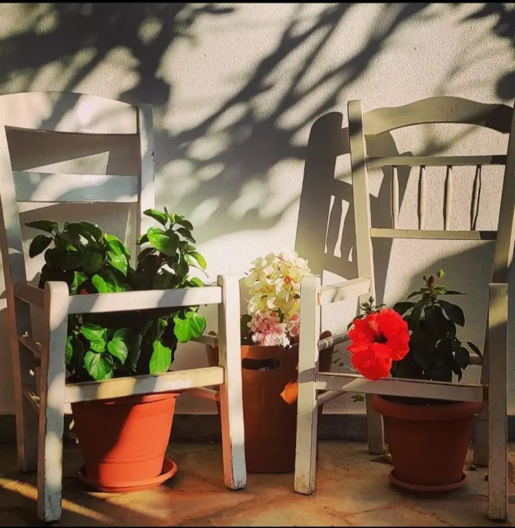 Best House Secret Garden Home Lagonisi Attiki
