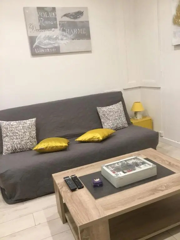 Charmant appartement T2 plein centre ville