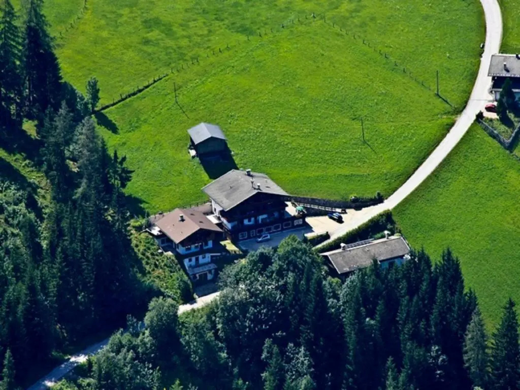 Bergwald Appartements Alpbach