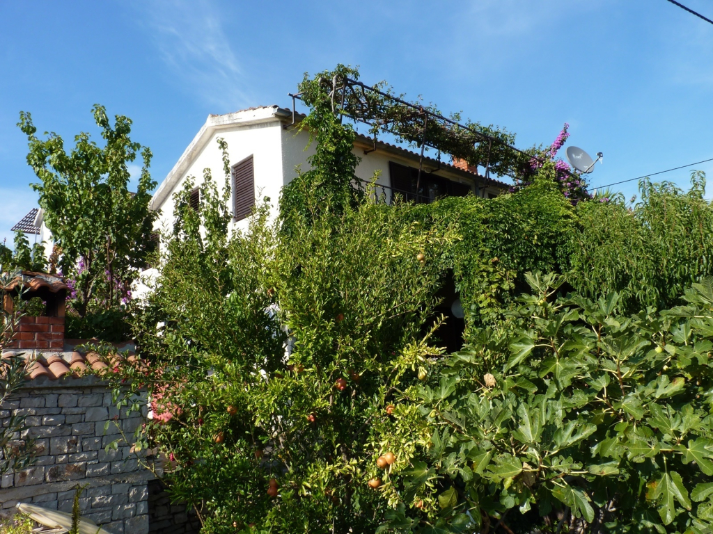 Apartment Željko - affordable and with sea view A1 Maslinica, Island Solta