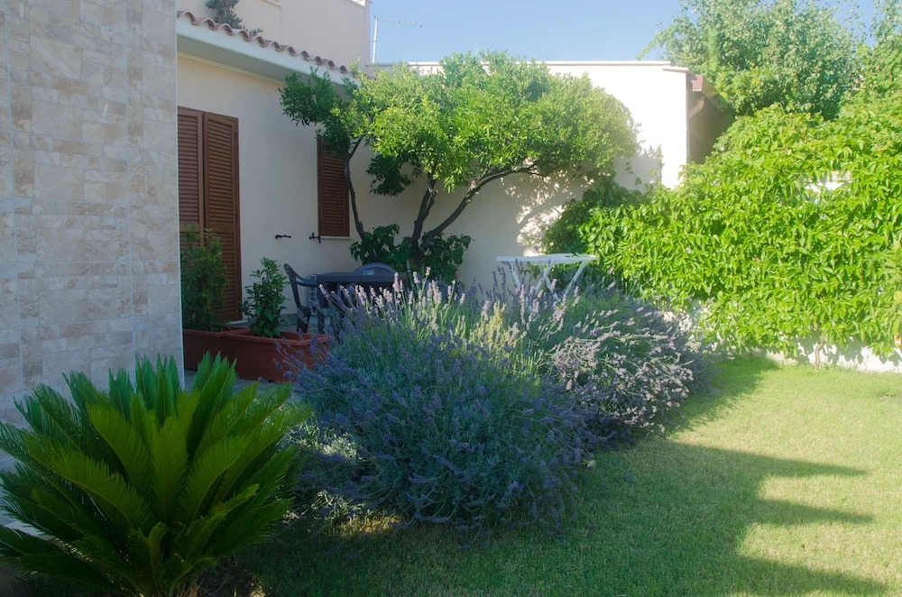 Baia Benessere B&B Eco Vegan