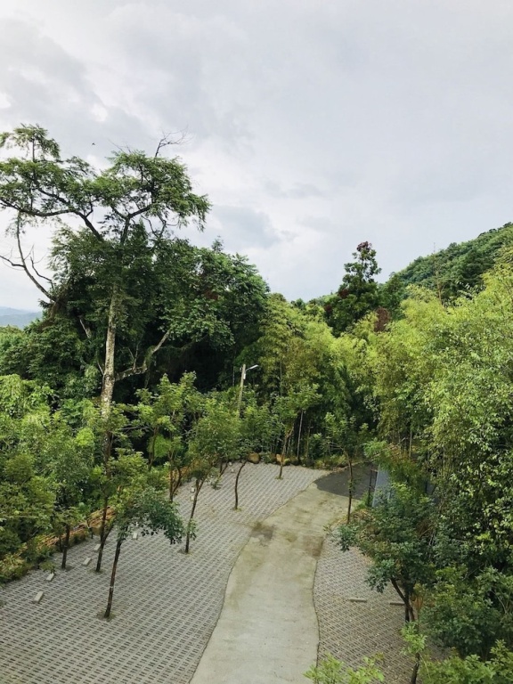 Xitou Bi Xue Shan Lin Homestay