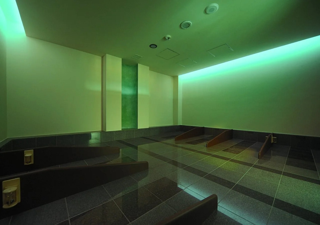 Tokyo Yugawara Onsen Manyo no Yu