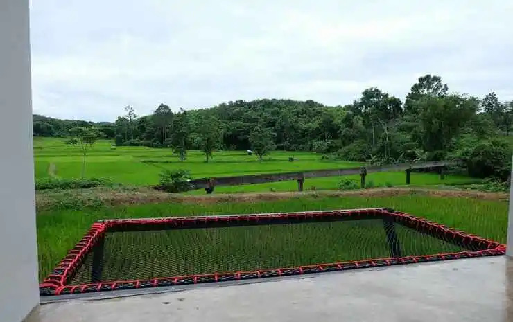 Earth House Pua