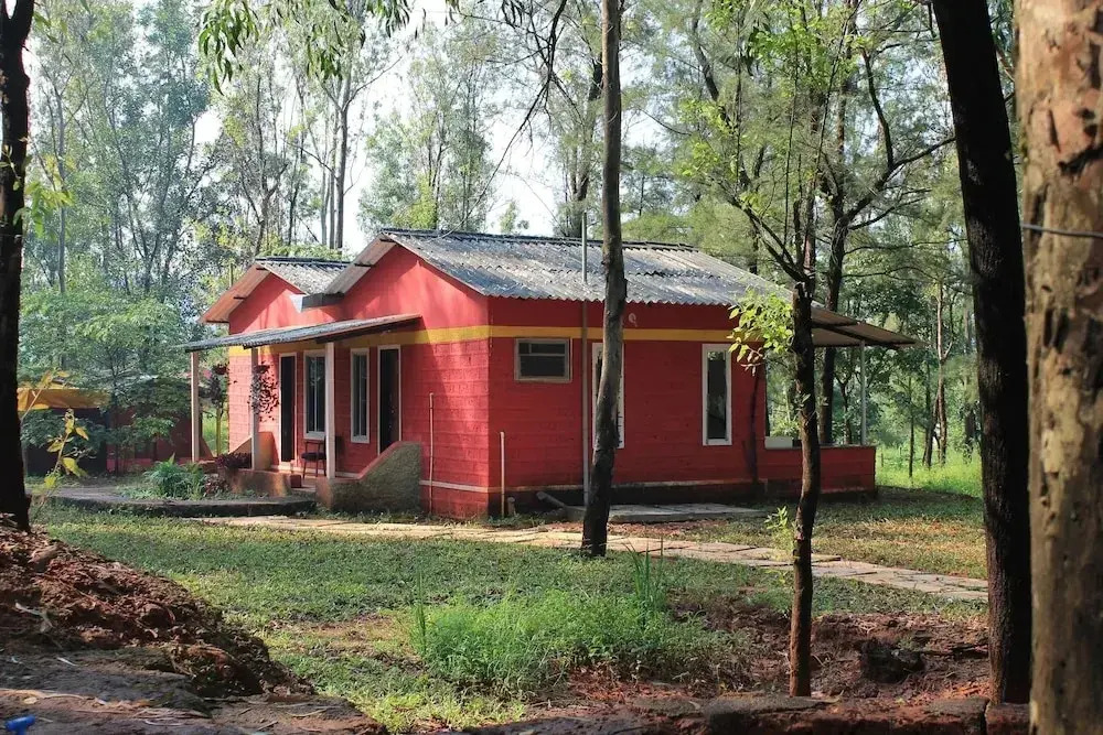 The Jungle Resort Amba