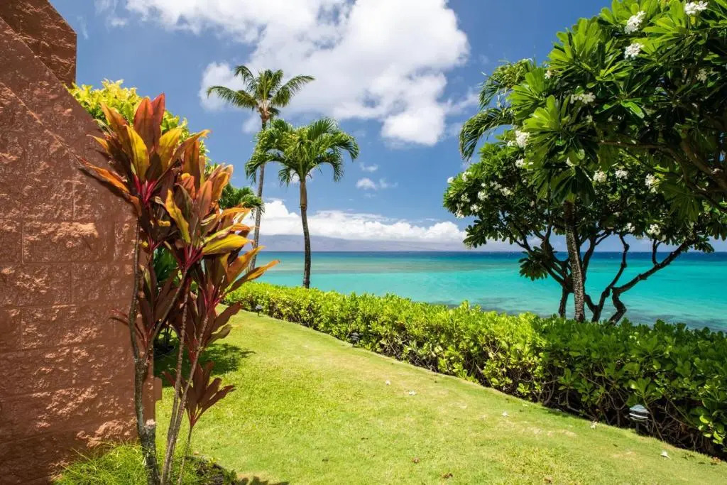 Kuleana Resort 401