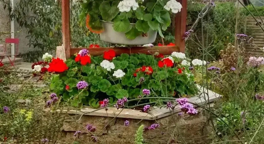 Marymount B&B