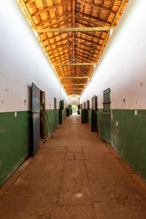 Farm in Pouso Alto MG Tranquility and Comfort