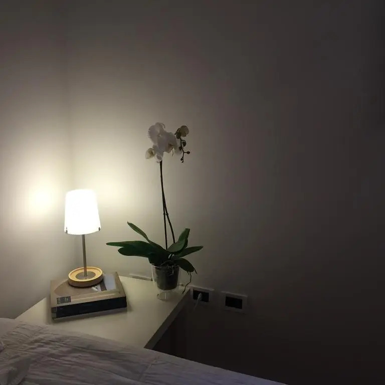 Angiola'S Home