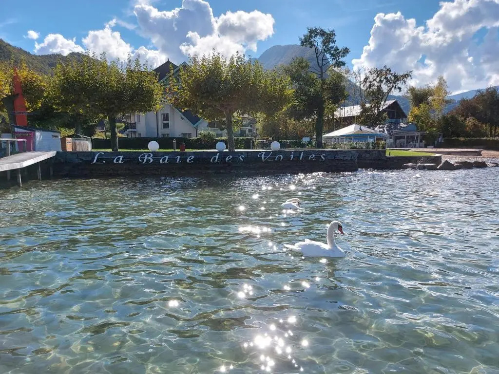 Situation exceptionnelle pour ce cosy studio avec terrasse SUR LAC, dans résidence avec PLAGE et ponton PRIVEE
