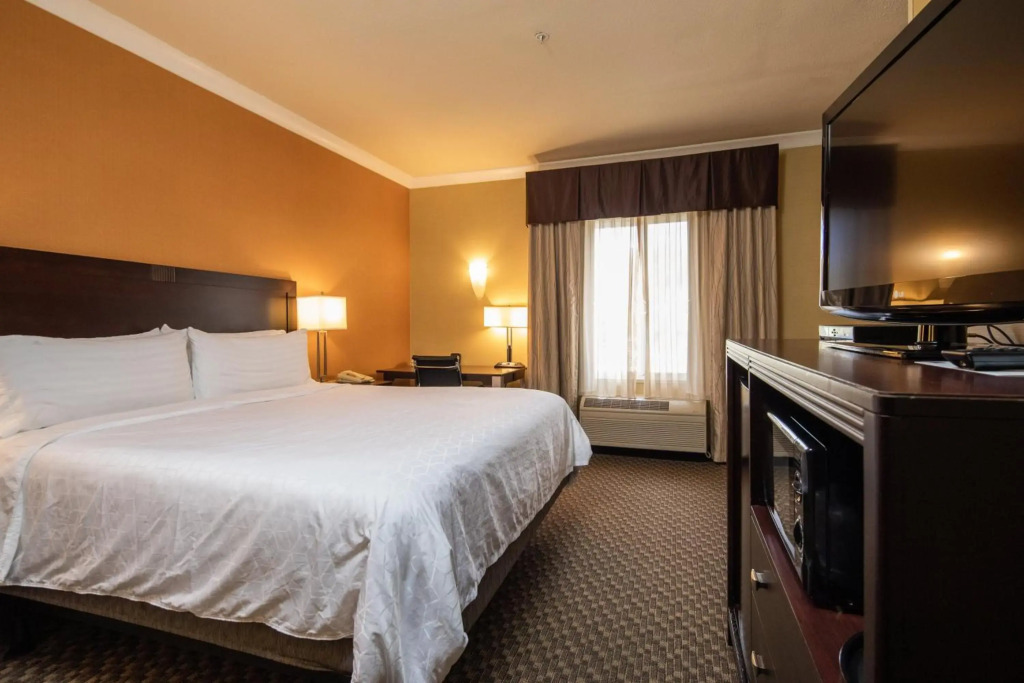 Holiday Inn Express Castro Valley - I-580 by IHG