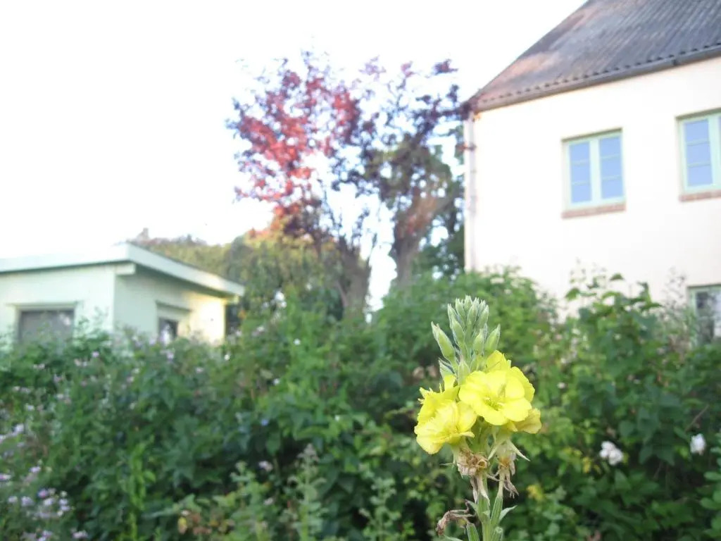 Hof Rodenkrog