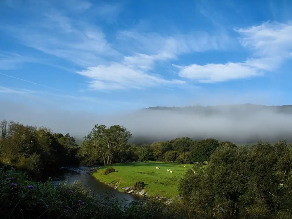 Bwthyn Dyfi