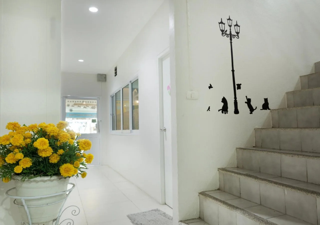 Sleep at Phuket SHA Plus
