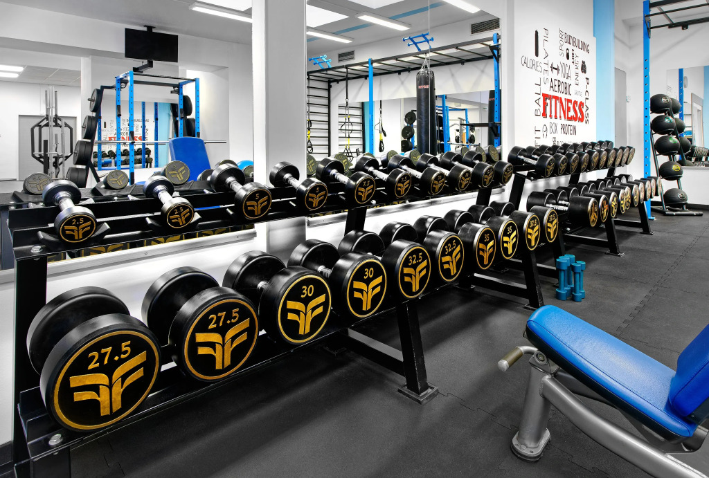 Congress & Wellness Hotel Olsanka