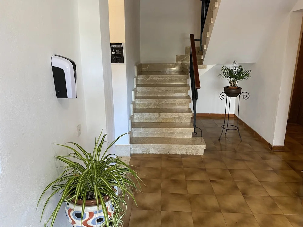 Apartamentos Alamos