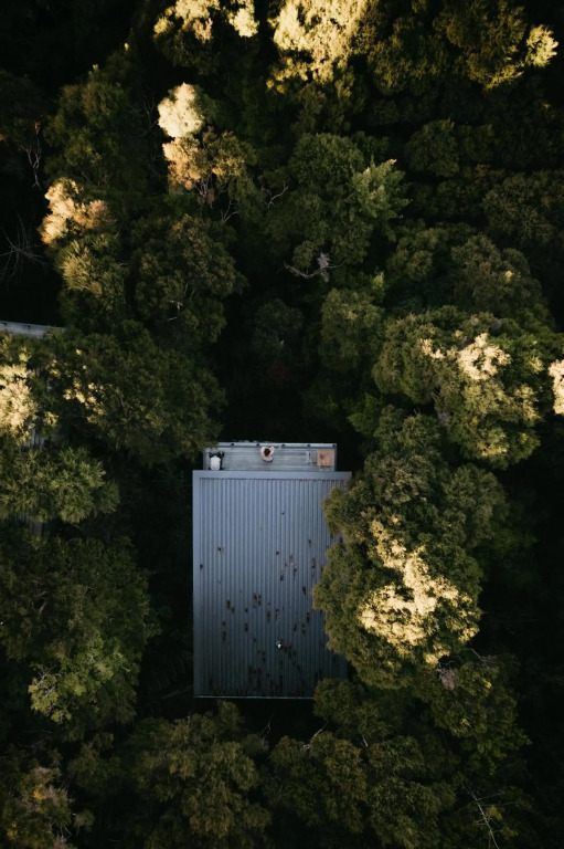 Treetop Tranquility
