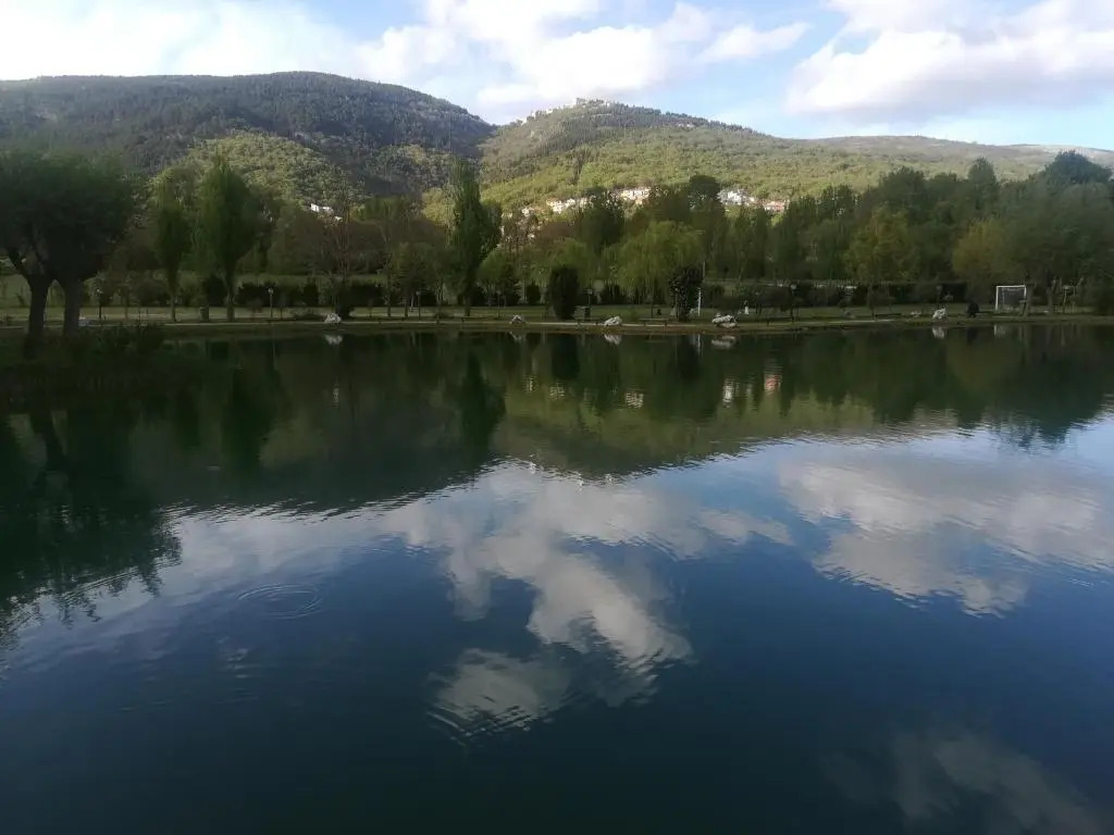le rondini