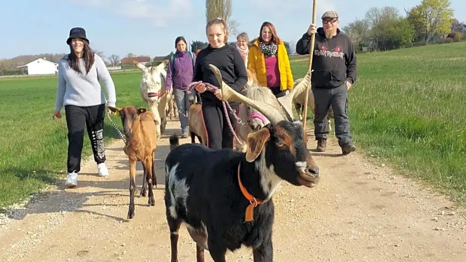 BASSE-COUR DE MONTIN au 256 chemin de la rocaille à 38510 VEZERONCE CURTIN