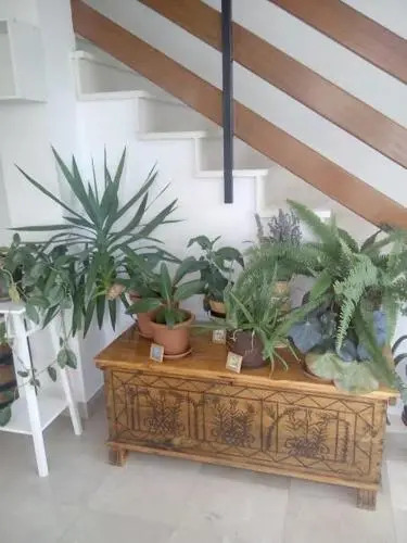 Apartmani Bruno