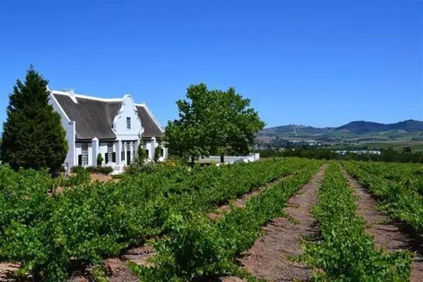 Bellevue Manor Guest House & Wellness Spa Retreat