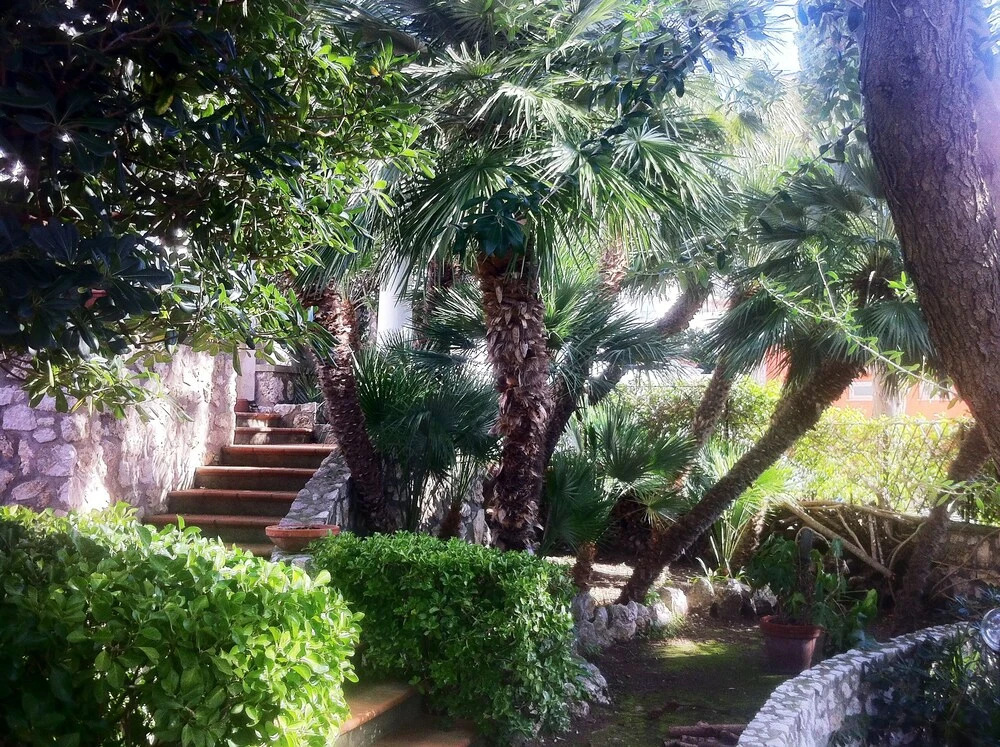 Villa Rebecca