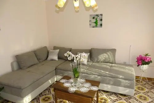 Apartment Parenzana