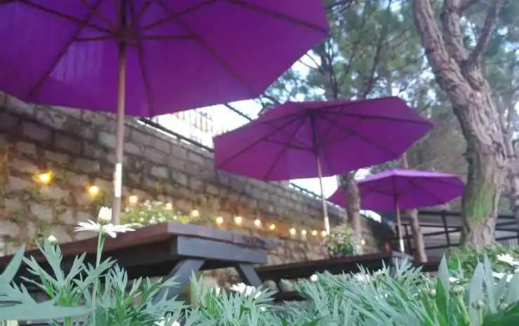 The Orchid Villa Dalat