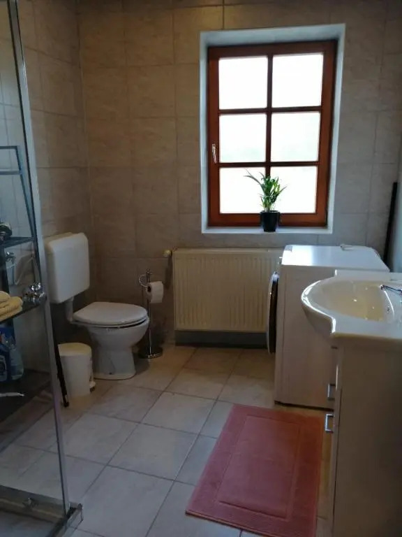 Ferienwohnung Michlwirt