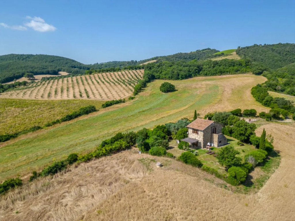 House Le Calle Cinigiano