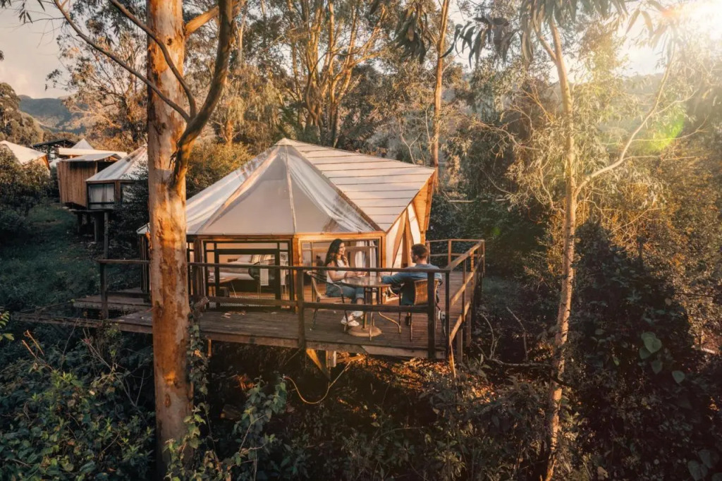 Lumbre Forest Lodge