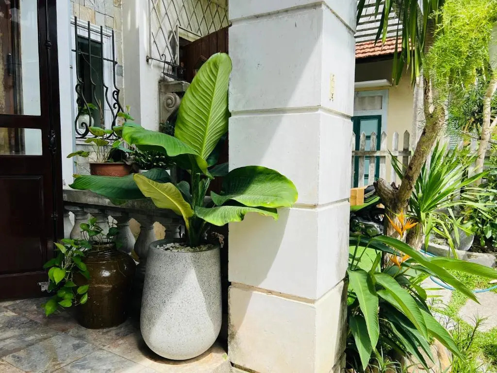 Maison Vu Tri Vien