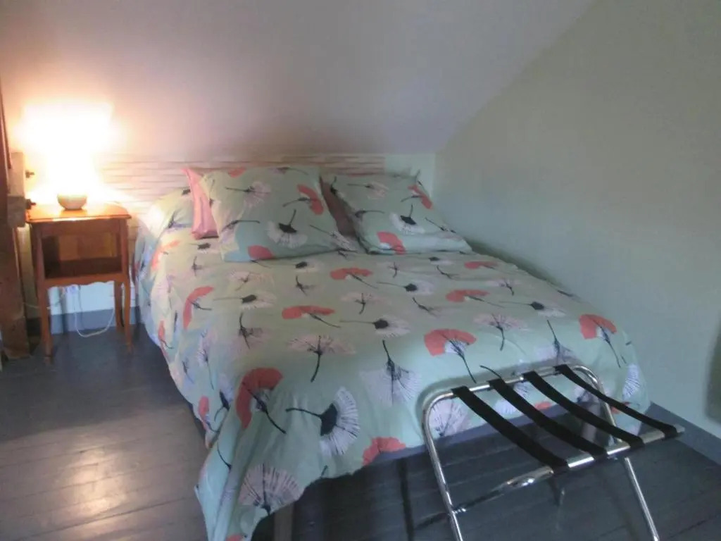 Gîte confortable avec jardin et animaux acceptés - FR-1-489-253