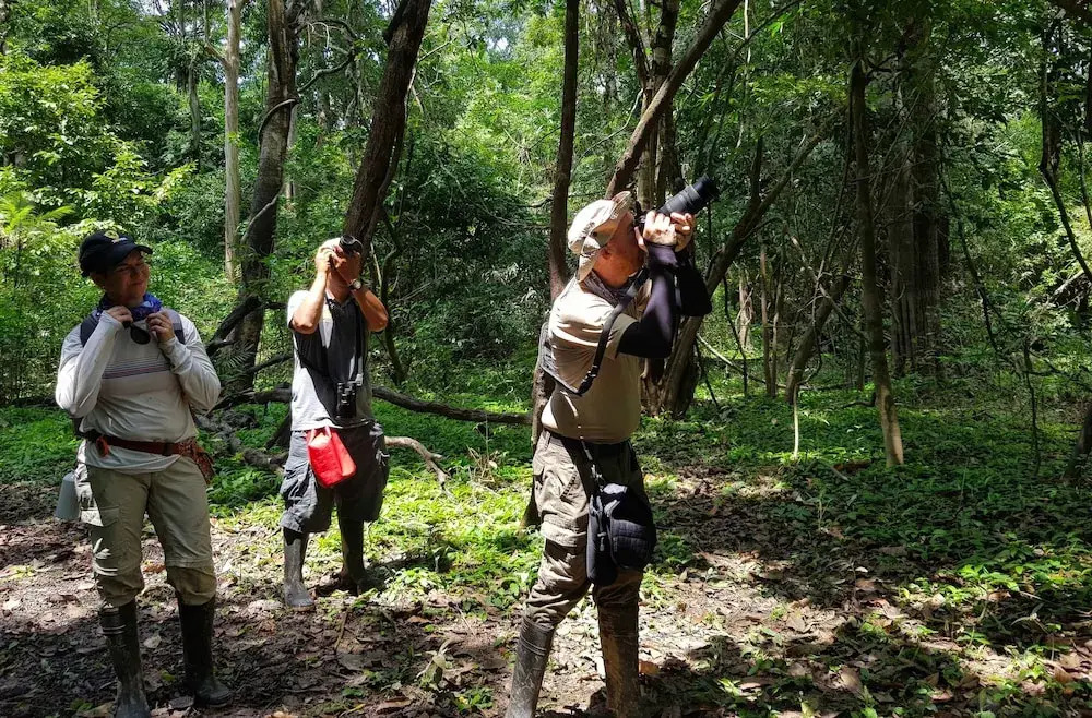 Amazon Lodge Adventures