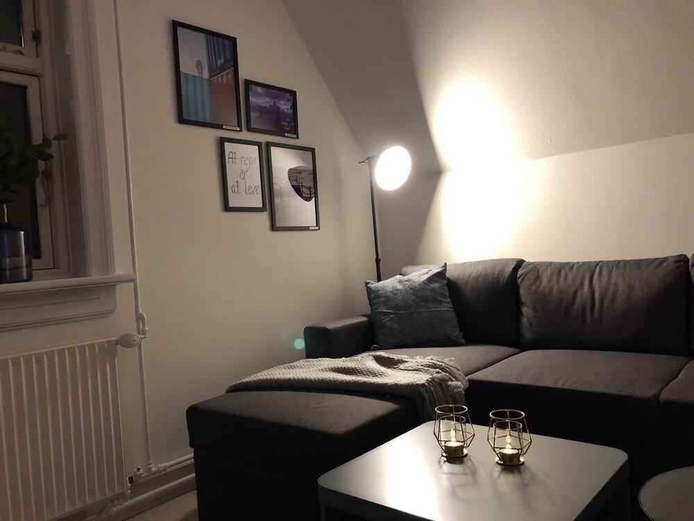 Cozy flat near CPH and public transport