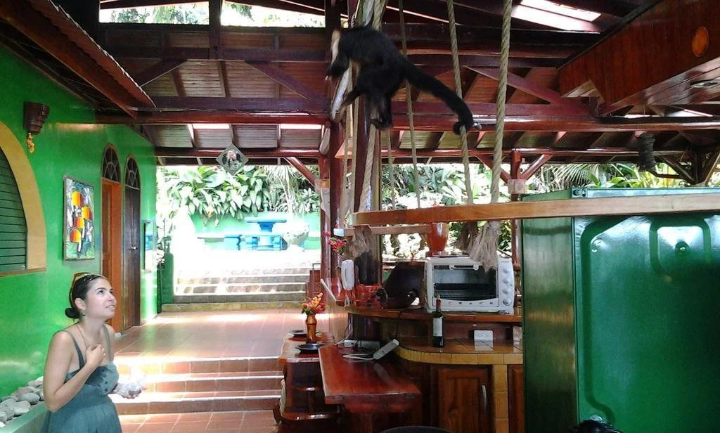 Jungle Villa