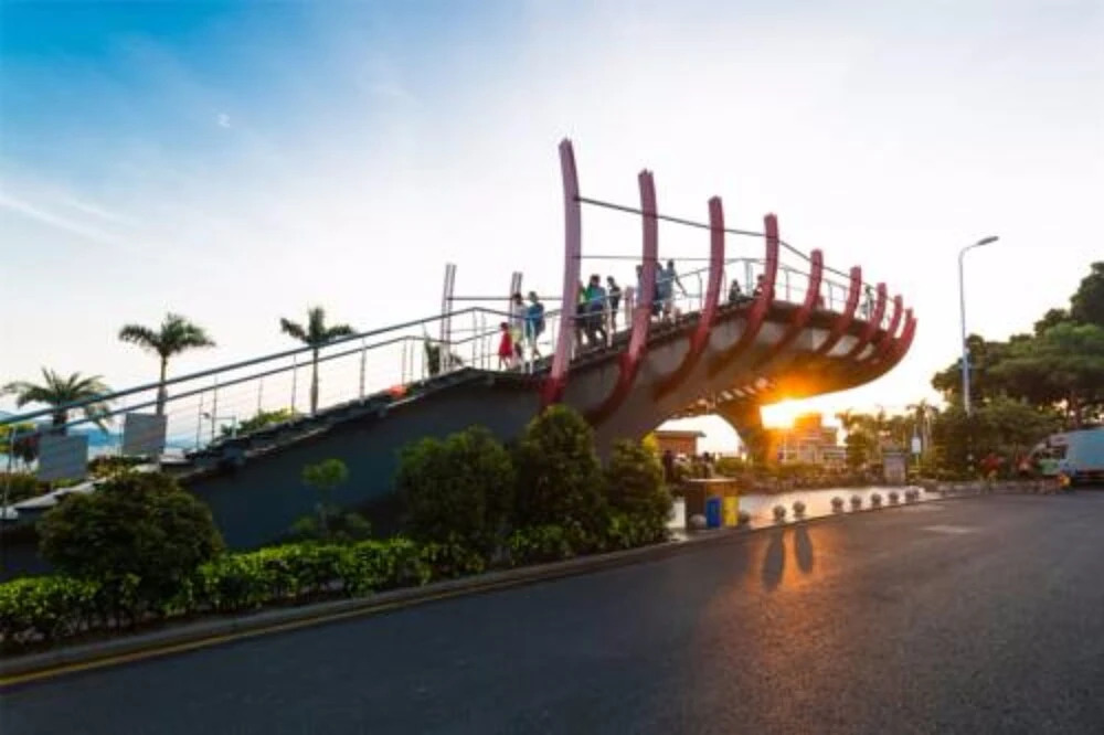 Xiamen Feisu Qingsi Dora