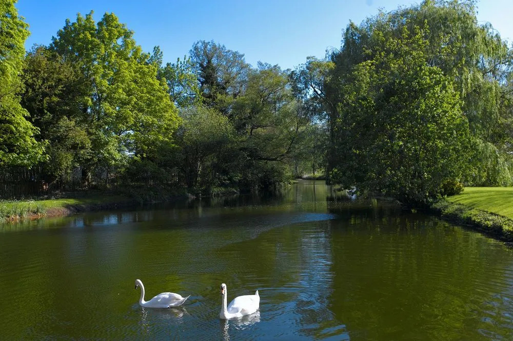Tuddenham Mill Luxury Hotel