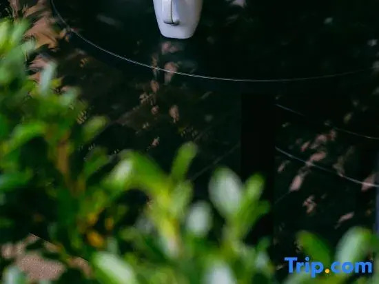 Tabebuia House