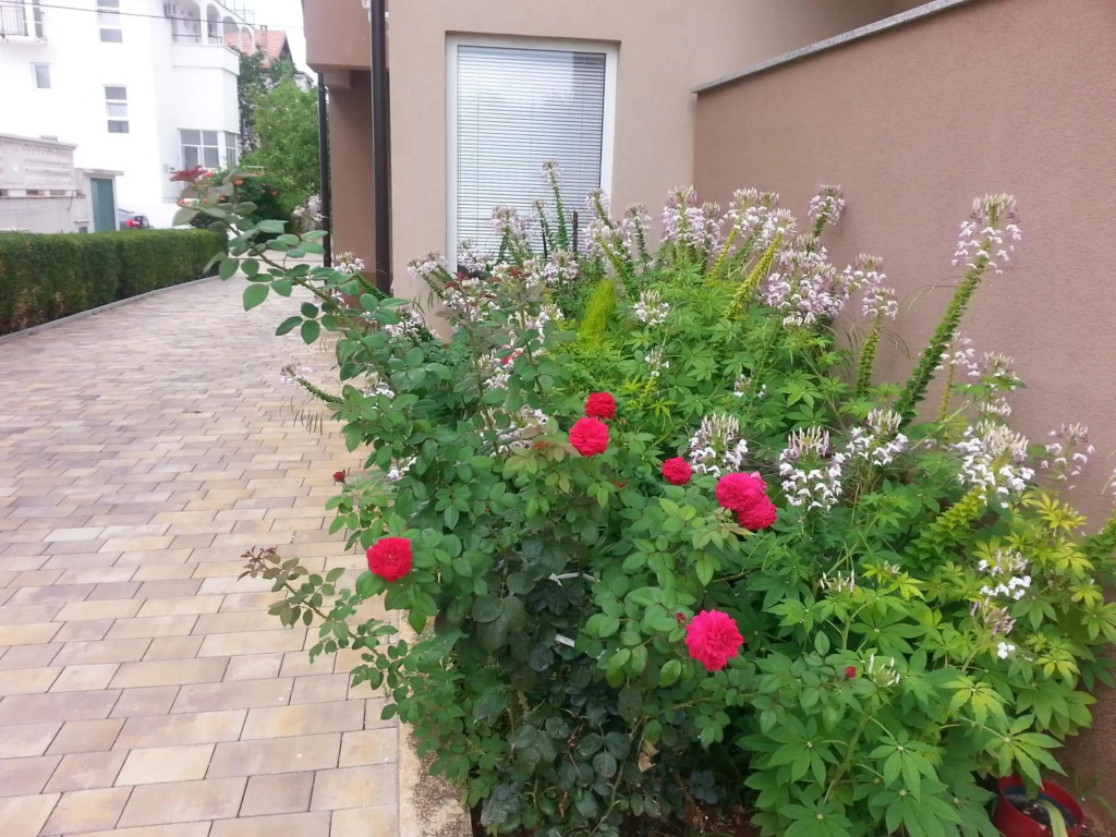 Apartments Roncevic
