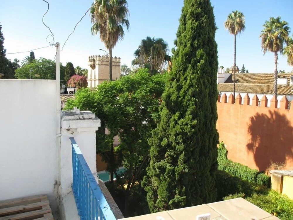 Deluxe Apartment Doña Elvira