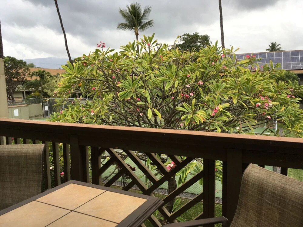 Chilledcoconut Across the Beach, Highspeed Internet, Calls to the Usa Canada