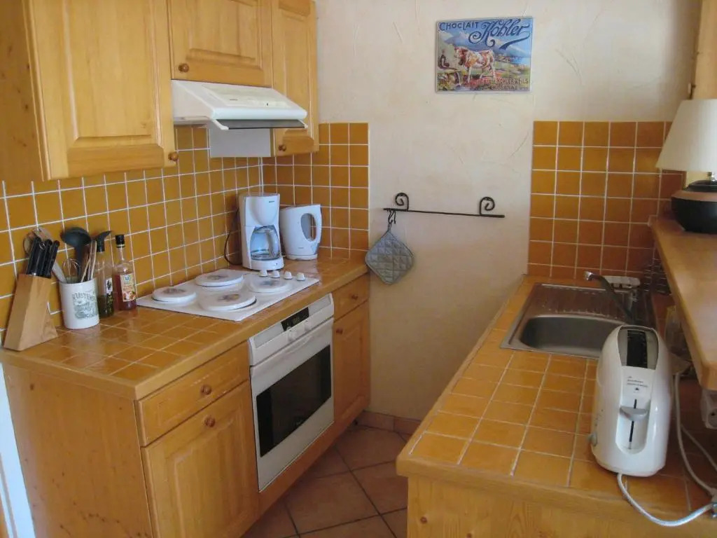 Appartement La Clusaz, 1 pièce, 4 personnes - FR-1-459-105