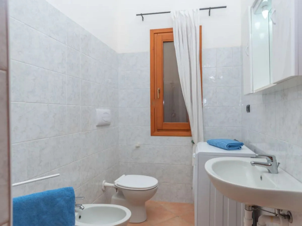 Corbezzolo 36904