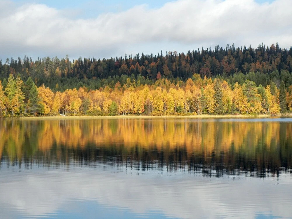 Wilderness Chalet Kuusamo