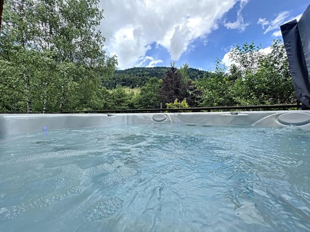 LES CIMES BLANCHES CLEDICIHOME Chalet 10 pers SPA & Grand terrain 4 MINUTES DES PISTES